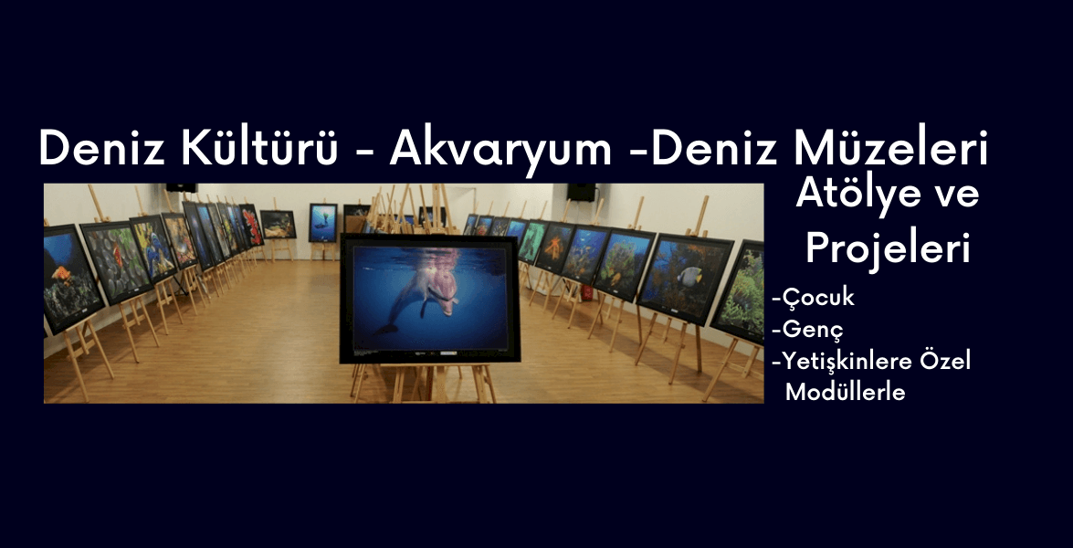 Deniz Kültürü ve Akvaryum Atölyeleri 